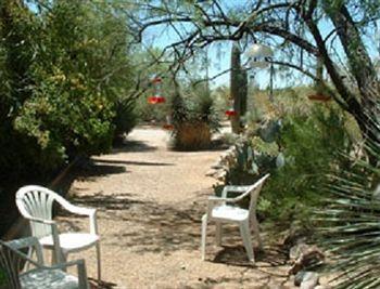 Bed And Bagels Of Tucson Hotel Tanque Verde ภายนอก รูปภาพ